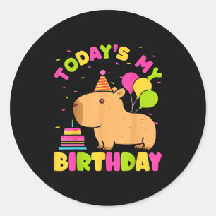 Heute ist mein Geburtstag Mädchen Capybara Liebhab Runder Aufkleber