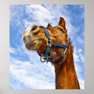 heute keine Fahrt Poster