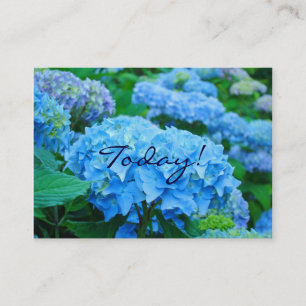 Heute! Liebt einander! Blaue Hortensien Blumen Visitenkarte