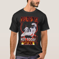 Heute nicht Satan English Setter 01