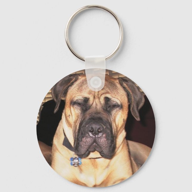 Heute nicht schlüsselanhänger (Vorderseite)