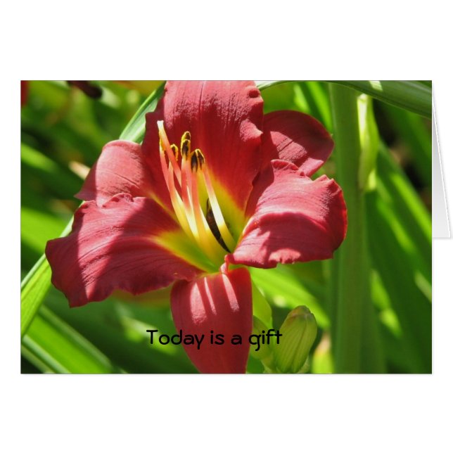 Heutiger Tag ist ein Geschenk (Vorderseite (Horizontal))