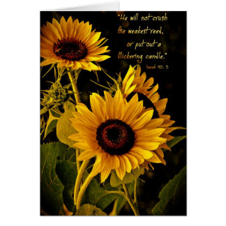 HewillnotcrushtheschwäestreedZazzle