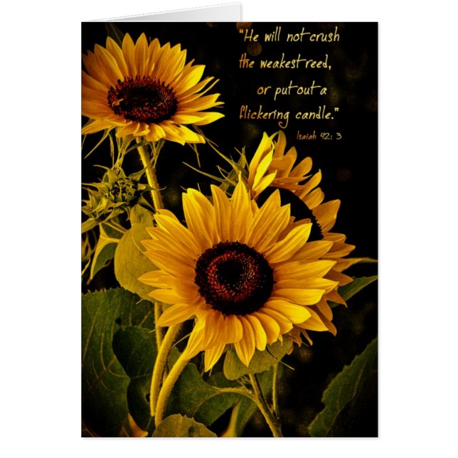 HewillnotcrushtheschwäestreedZazzle (Vorne)