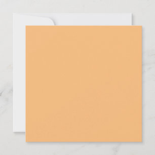Hex Color #FABA77, Brandy Feiertagskarte