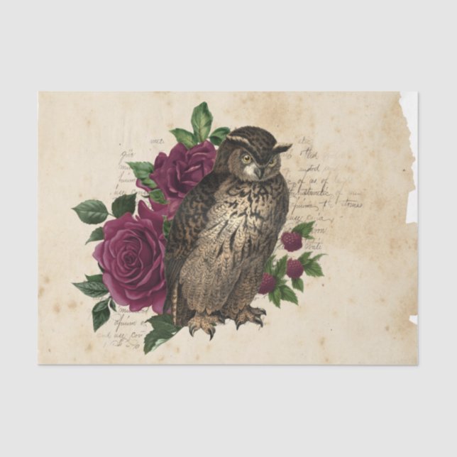 Hexe Ephemera Design Serie #3 Seidenpapier (Vorderseite)