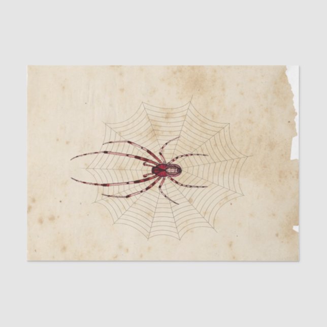 Hexe Ephemera Design Serie #7 Seidenpapier (Vorderseite)