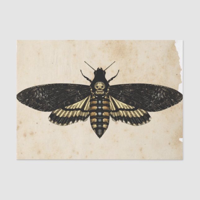 Hexe Ephemera Design Serie #8 Seidenpapier (Vorderseite)