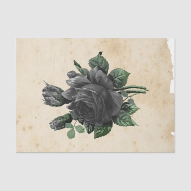 Hexe Ephemera Design Serie #9 Seidenpapier (Vorderseite)