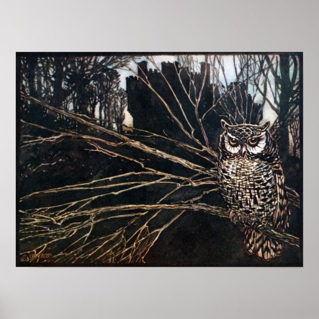 Hexe in Eule-Form Poster (Vorne)