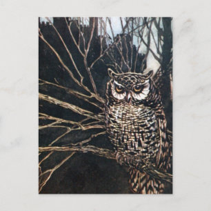 Hexe in Eulengestalt Postkarte