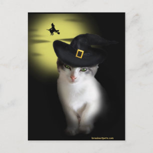 Hexe Kitten Postcard Postkarte