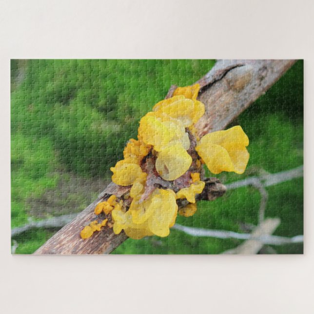 Hexen Butter Mycelium Puzzle (Horizontal)