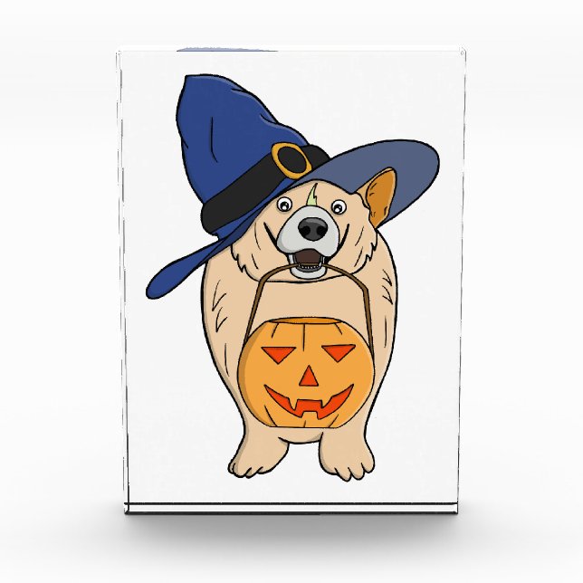 Hexen-Kürbis-Hund Fotoblock (Vorderseite)