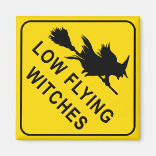 Hexen Square Magnet