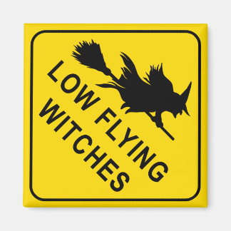 Hexen Square Magnet