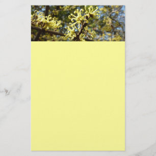 Hexenhazel-Blume Briefpapier