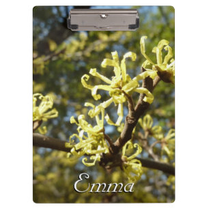 Hexenhazel-Blume Klemmbrett