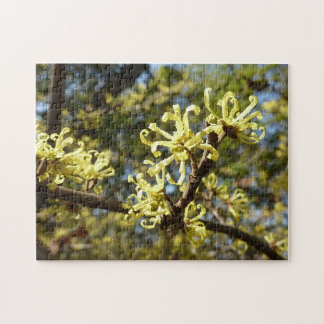 Hexenhazel-Blume Puzzle (Horizontal)
