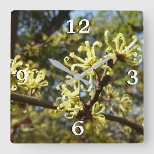 Hexenhazel-Blume Quadratische Wanduhr