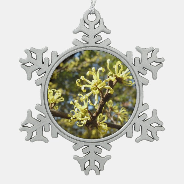 Hexenhazel-Blume Schneeflocken Zinn-Ornament (Vorderseite)