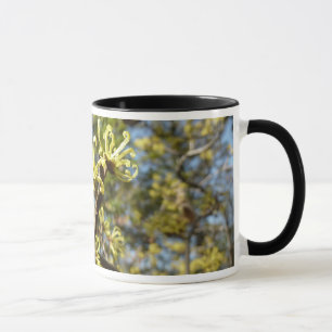 Hexenhazel-Blume Tasse