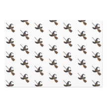 Hexenhut und Broomstick