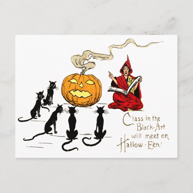 Hexenlehre Black Cat Jack O' Lantern Postkarte (Vorderseite)