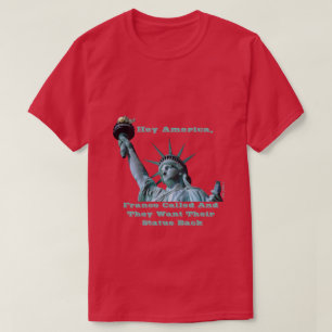 Hey America (Lady Liberty) - Ein MisterP-Shirt T-Shirt