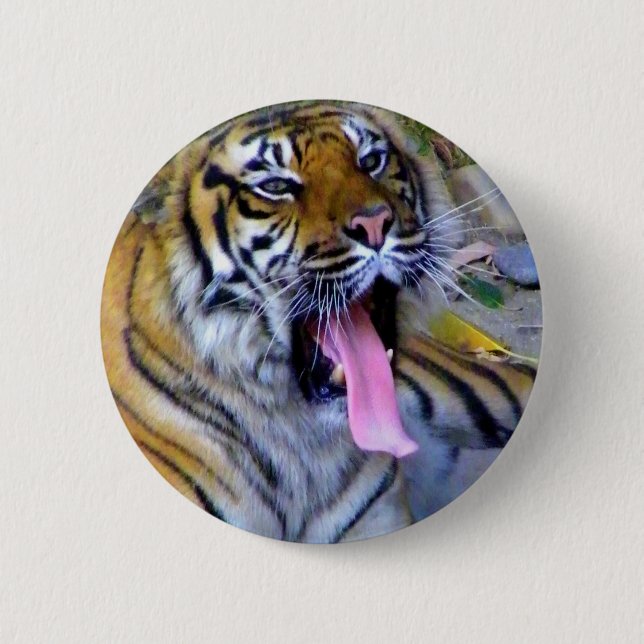 Hey_ Button (Vorderseite)