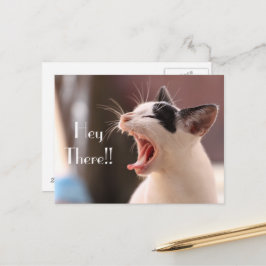 "Hey da" ungeduldiger Cat Gruß Postkarte
