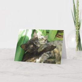 Hey! Dein altes Valentin ist jetzt meins! Ankündigung