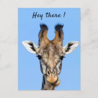 Hey, es lustiges Giraffe-Foto mit Text