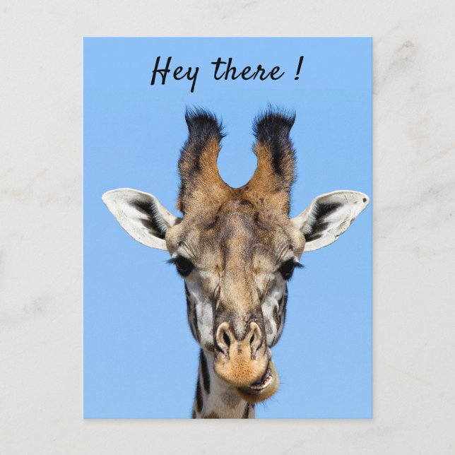 Hey, es lustiges Giraffe-Foto mit Text Postkarte (Vorderseite)