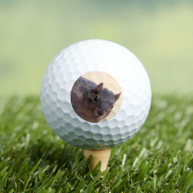 Hey, Golfball (Insitu T-Shirt)
