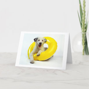 HEY GRAD, SIE HABEN IT-GLÜCKWÜNSCHE GESCHAFFEN UND KARTE