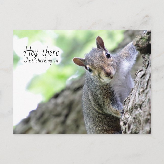 Hey, hier, nur in der Postkarte checken  (Vorderseite)