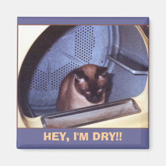 HEY, ICH BIN DRY! MAGNET