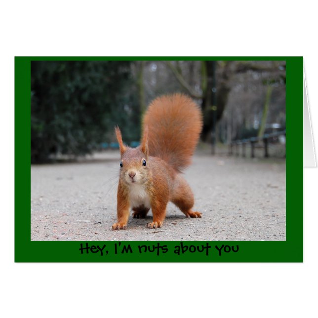 Hey, ich bin verrückt nach dir (Vorderseite (Horizontal))