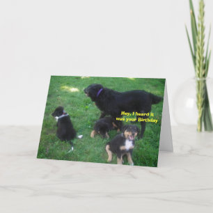 Hey, ich habe gehört, es wäre dein Geburtstag Karte