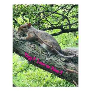 Hey! Lass mich in Ruhe! Verärgertes Eichhörnchen Fotodruck