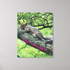 Hey! Lass mich in Ruhe! Verärgertes Eichhörnchen  Leinwanddruck