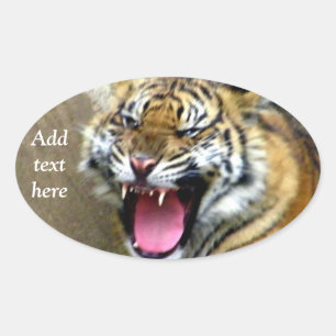 Hey_ Ovaler Aufkleber