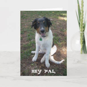 HEY PAL, Happy Birthday Card Karte