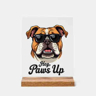 Hey Paws Up Vintage Bulldogge mit Sonnenbrille Lus Acrylschild
