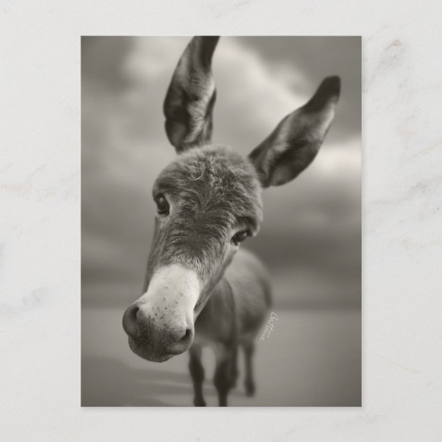 Hey Postkarte (Vorderseite)