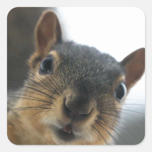 Hey, Quadratischer Aufkleber (Vorderseite)