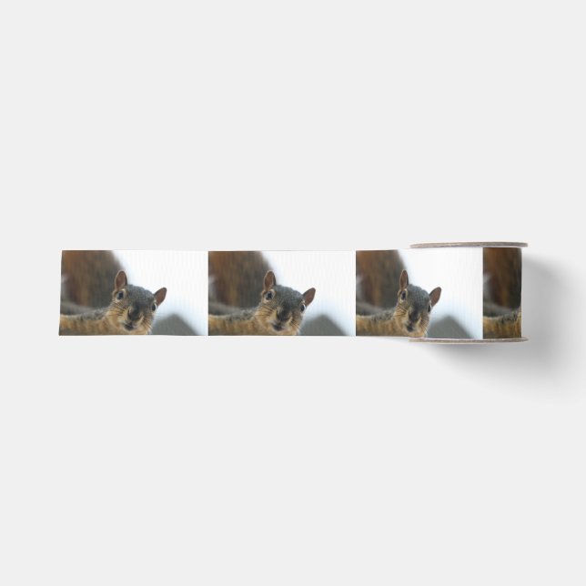 Hey, Ripsband (Vorderseite)