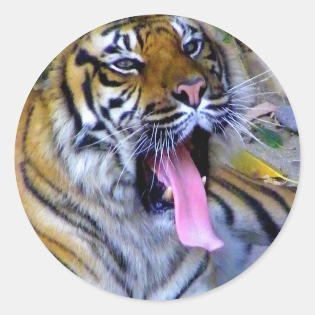 Hey_ Runder Aufkleber (Vorderseite)