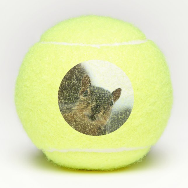 Hey, Tennisbälle (Vorderseite)